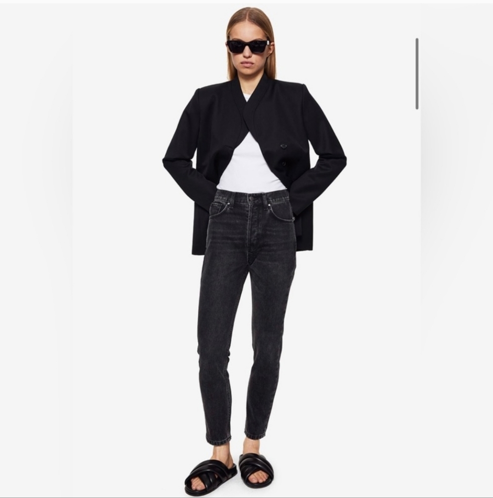 NWT Anine Bing Sonya high rise ankle slim black jeans 24